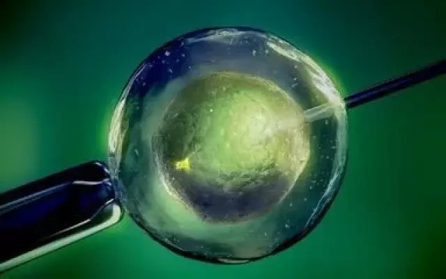 承济医学中心